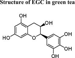 Graphical abstract: Blood anticoagulation and antiplatelet activity of green tea (−)-epigallocatechin (EGC) in mice