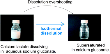 Graphical abstract: Spontaneous supersaturation of calcium d-gluconate during isothermal dissolution of calcium l-lactate in aqueous sodium d-gluconate