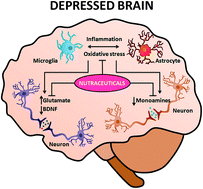 Graphical abstract: Nutritional strategies for dealing with depression