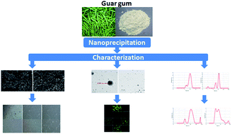 Graphical abstract: Synthesis, characterization and evaluation of the antioxidant potential of vanadium encapsulated guar gum nanoparticles