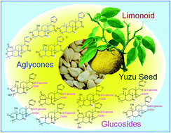 Graphical abstract: The functional evaluation of waste yuzu (Citrus junos) seeds