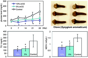 Graphical abstract: Effects of eugenol-reduced clove extract on glycogen phosphorylase b and the development of diabetes in db/db mice
