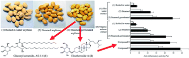 Graphical abstract: Inhibition of DNA polymerase λ and associated inflammatory activities of extracts from steamed germinated soybeans