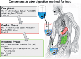 Graphical abstract: A standardised static in vitro digestion method suitable for food – an international consensus