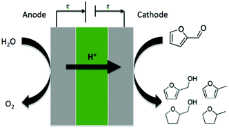 Graphical abstract: The electrocatalytic hydrogenation of furanic compounds in a continuous electrocatalytic membrane reactor