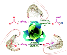 Graphical abstract: Chitosan: a highly efficient renewable and recoverable bio-polymer catalyst for the expeditious synthesis of α-amino nitriles and imines under mild conditions