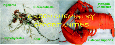 Graphical abstract: Green chemistry and the ocean-based biorefinery