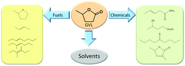 Graphical abstract: Gamma-valerolactone, a sustainable platform molecule derived from lignocellulosic biomass