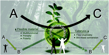 Graphical abstract: Tailoring nanohybrids and nanocomposites for catalytic applications