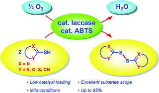 Graphical abstract: Synthesis of disulfides by laccase-catalyzed oxidative coupling of heterocyclic thiols