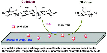 Graphical abstract: Hydrolysis of cellulose to glucose by solid acid catalysts