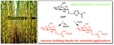 Graphical abstract: Facile conversion of glycosyloxymethyl-furfural into γ-keto-carboxylic acid building blocks towards a sustainable chemical industry