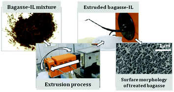 Graphical abstract: Continuous pretreatment of sugarcane bagasse at high loading in an ionic liquid using a twin-screw extruder