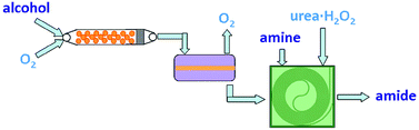 Graphical abstract: Multistep synthesis of amides from alcohols and amines in continuous flow microreactor systems using oxygen and urea hydrogen peroxide as oxidants