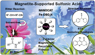 Graphical abstract: Magnetite-supported sulfonic acid: a retrievable nanocatalyst for the Ritter reaction and multicomponent reactions