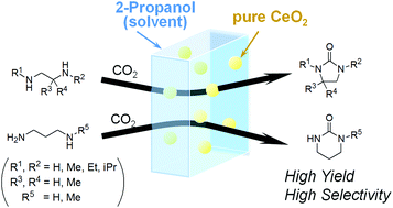 Graphical abstract: Highly efficient synthesis of cyclic ureas from CO2 and diamines by a pure CeO2 catalyst using a 2-propanol solvent