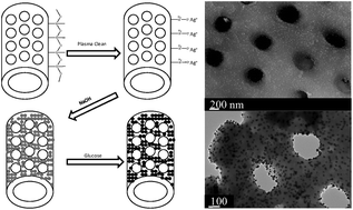 Graphical abstract: In situ coating of diatom frustules with silver nanoparticles