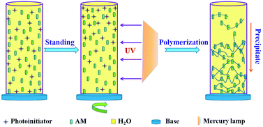 Graphical abstract: Self-floating ability and initiating gradient photopolymerization of acrylamide aqueous solution of a water-soluble polysiloxane benzophenone photoinitiator