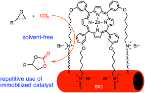 Graphical abstract: Robust porphyrin catalysts immobilized on biogenous iron oxide for the repetitive conversions of epoxides and CO2 into cyclic carbonates
