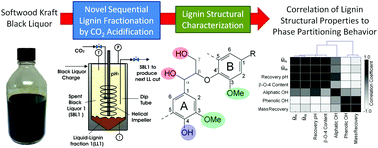 Graphical abstract: Correlating lignin structural features to phase partitioning behavior in a novel aqueous fractionation of softwood Kraft black liquor