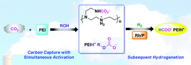 Graphical abstract: In situ hydrogenation of captured CO2 to formate with polyethyleneimine and Rh/monophosphine system
