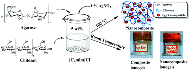 Graphical abstract: Facile preparation of agarose–chitosan hybrid materials and nanocomposite ionogels using an ionic liquid via dissolution, regeneration and sol–gel transition