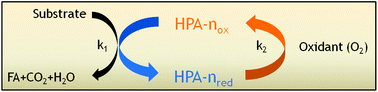 Graphical abstract: Spectroscopic and electrochemical characterization of heteropoly acids for their optimized application in selective biomass oxidation to formic acid