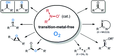 Graphical abstract: Nitroxide-catalyzed transition-metal-free aerobic oxidation processes