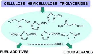 Graphical abstract: Conversion of biomass platform molecules into fuel additives and liquid hydrocarbon fuels