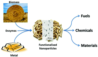 Graphical abstract: Applications of nanoparticles in biomass conversion to chemicals and fuels