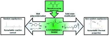 Graphical abstract: Carbohydrate-based PBT copolyesters from a cyclic diol derived from naturally occurring tartaric acid: a comparative study regarding melt polycondensation and solid-state modification