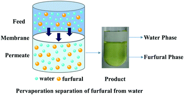 Graphical abstract: A PDMS membrane with high pervaporation performance for the separation of furfural and its potential in industrial application