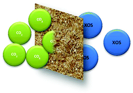 Graphical abstract: The CO2-assisted autohydrolysis of wheat straw