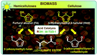 Graphical abstract: Production of biomass-derived furanic ethers and levulinate esters using heterogeneous acid catalysts
