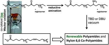 Graphical abstract: Highly efficient oxyfunctionalization of unsaturated fatty acid esters: an attractive route for the synthesis of polyamides from renewable resources