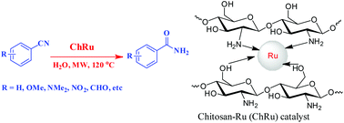 Graphical abstract: Ruthenium on chitosan: a recyclable heterogeneous catalyst for aqueous hydration of nitriles to amides