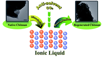 Graphical abstract: Precipitation of chitosan from ionic liquid solution by the compressed CO2 anti-solvent method