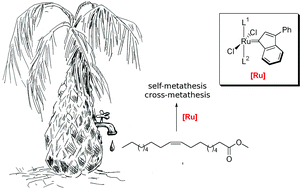 Graphical abstract: Metathesis of renewable raw materials—influence of ligands in the indenylidene type catalysts on self-metathesis of methyl oleate and cross-metathesis of methyl oleate with (Z)-2-butene-1,4-diol diacetate
