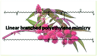 Graphical abstract: Branched polyethylene mimicry by metathesis copolymerization of fatty acid-based α,ω-dienes