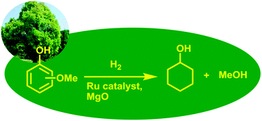Graphical abstract: Selective production of cyclohexanol and methanol from guaiacol over Ru catalyst combined with MgO