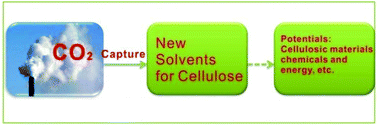 Graphical abstract: Capturing CO2 for cellulose dissolution