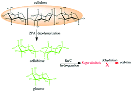 Graphical abstract: Zirconium phosphate combined with Ru/C as a highly efficient catalyst for the direct transformation of cellulose to C6 alditols