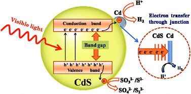 Graphical abstract: Photochemical preparation of Cd/CdS photocatalysts and their efficient photocatalytic hydrogen production under visible light irradiation