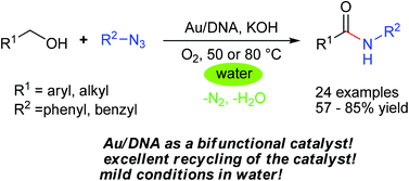 Graphical abstract: An efficient synthesis of amides from alcohols and azides catalyzed by a bifunctional catalyst Au/DNA under mild conditions