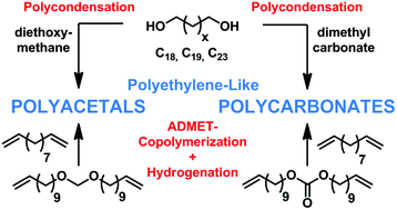 Graphical abstract: Physical properties and hydrolytic degradability of polyethylene-like polyacetals and polycarbonates