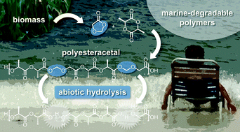Graphical abstract: Marine-degradable polylactic acid