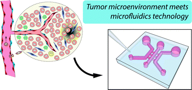 Graphical abstract: Cells, tissues, and organs on chips: challenges and opportunities for the cancer tumor microenvironment