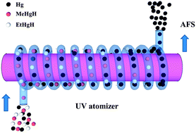 Graphical abstract: UV-induced atomization of gaseous mercury hydrides for atomic fluorescence spectrometric detection of inorganic and organic mercury after high performance liquid chromatographic separation