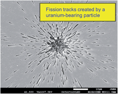 Graphical abstract: The use of solution nebulization ICP-MS combined with particle screening and micro-sampling for analysis of individual uranium-bearing particles
