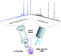 Graphical abstract: Laser-induced plasma spectroscopy of organic compounds. Understanding fragmentation processes using ion–photon coincidence measurements